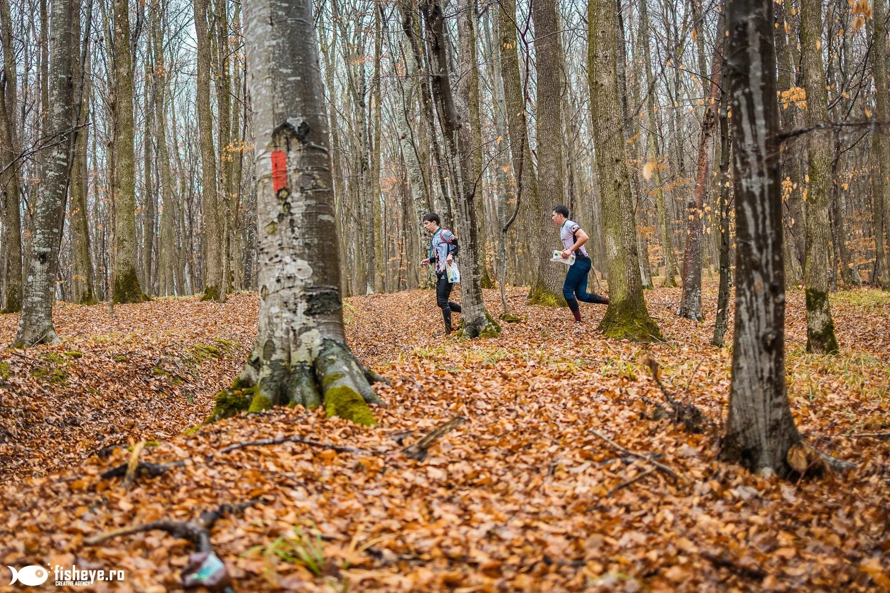 Participants navigating through an autumn forest